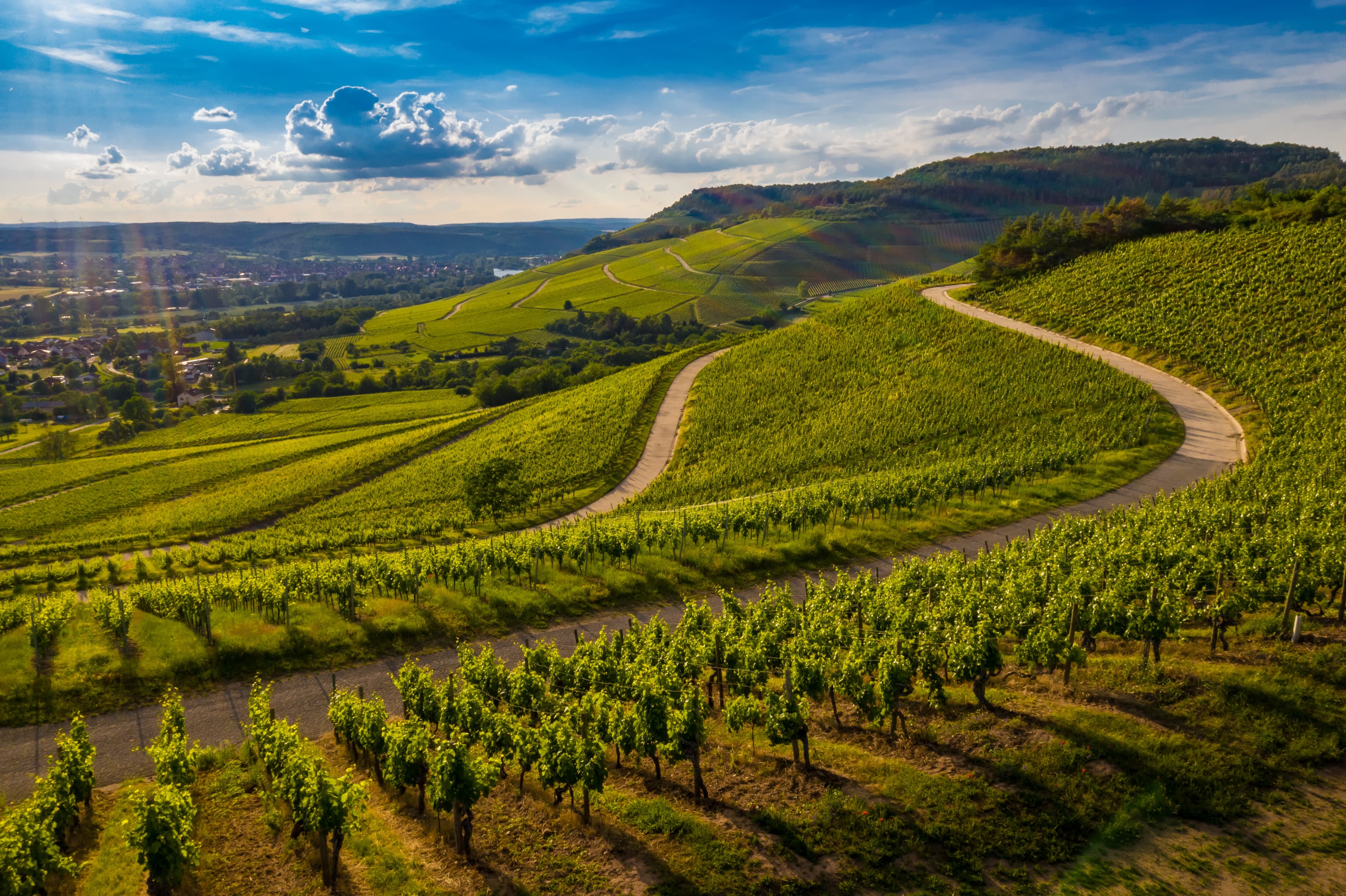 Le colline delle Langhe piemontesi - Patrimonio UNESCO