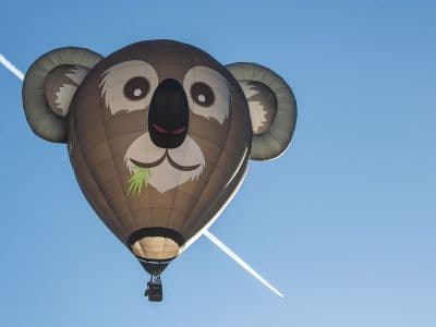 Mongolfiera vista da vicino Mongolfiera vista da vicino - Raduno Mongolfiere Mondovì